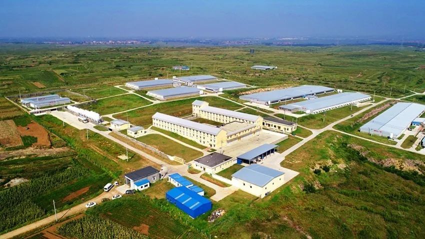 2121�Ƿ���(�й���)�����ٷ���վ