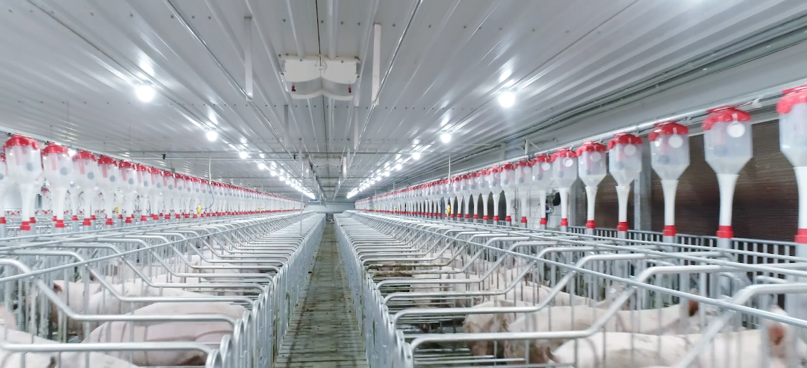 2121�Ƿ���(�й���)�����ٷ���վ