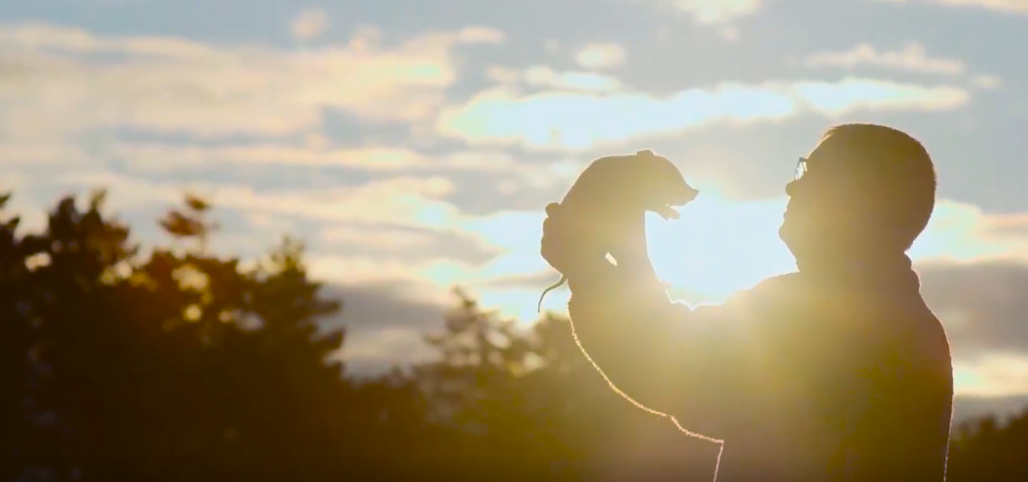 2121�Ƿ���(�й���)�����ٷ���վ