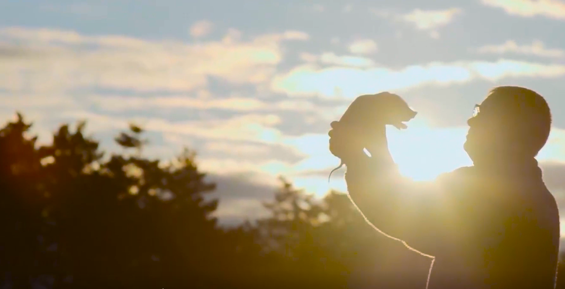 2121�Ƿ���(�й���)�����ٷ���վ