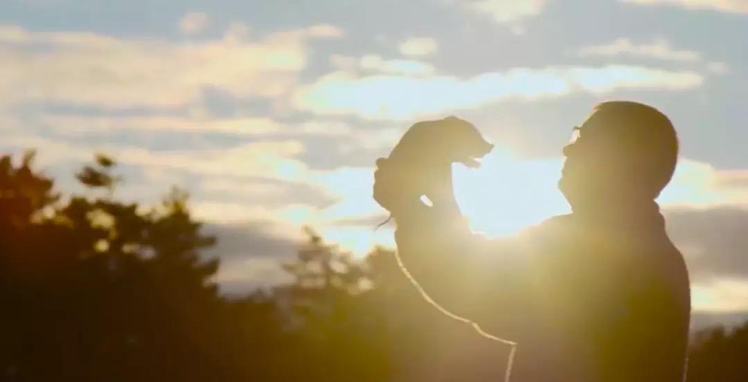 2121�Ƿ���(�й���)�����ٷ���վ