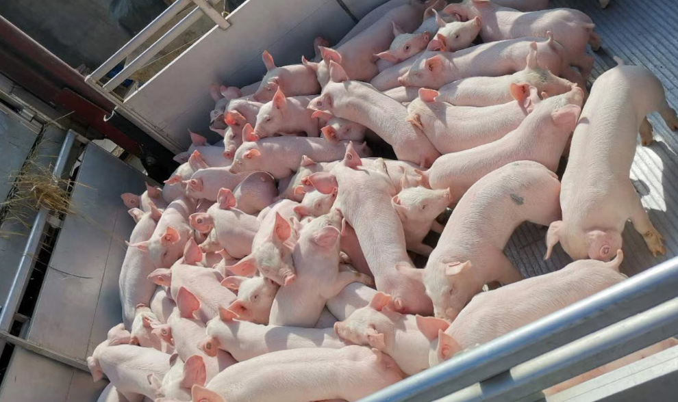 2121�Ƿ���(�й���)�����ٷ���վ