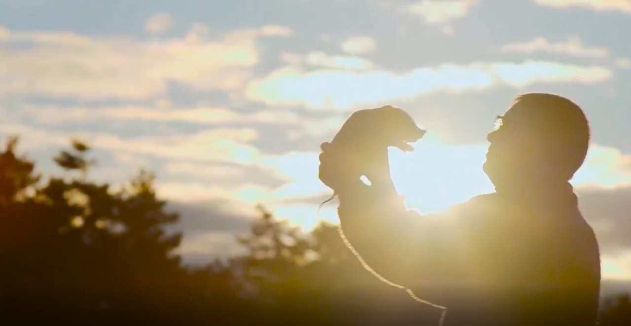 2121�Ƿ���(�й���)�����ٷ���վ