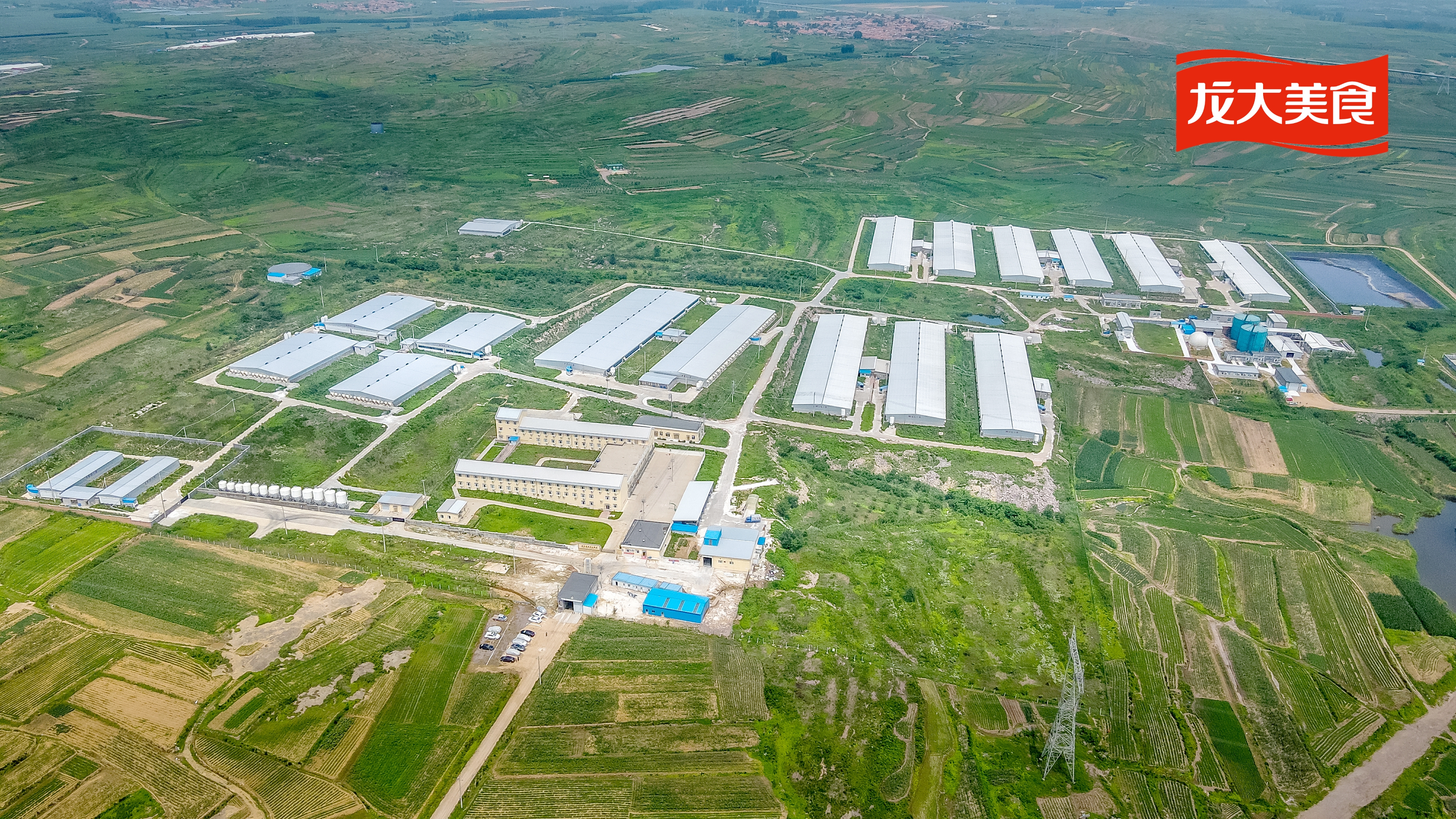 2121�Ƿ�������ʳ˳���������ɺ���������������2121�Ƿ��������������������У�